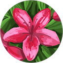 Alicee Fernandes bastos profile picture